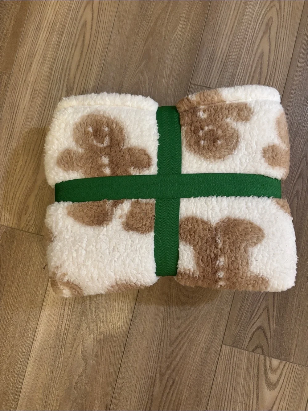 Brand new limited edition Aerie Gingerbread fleece blanket